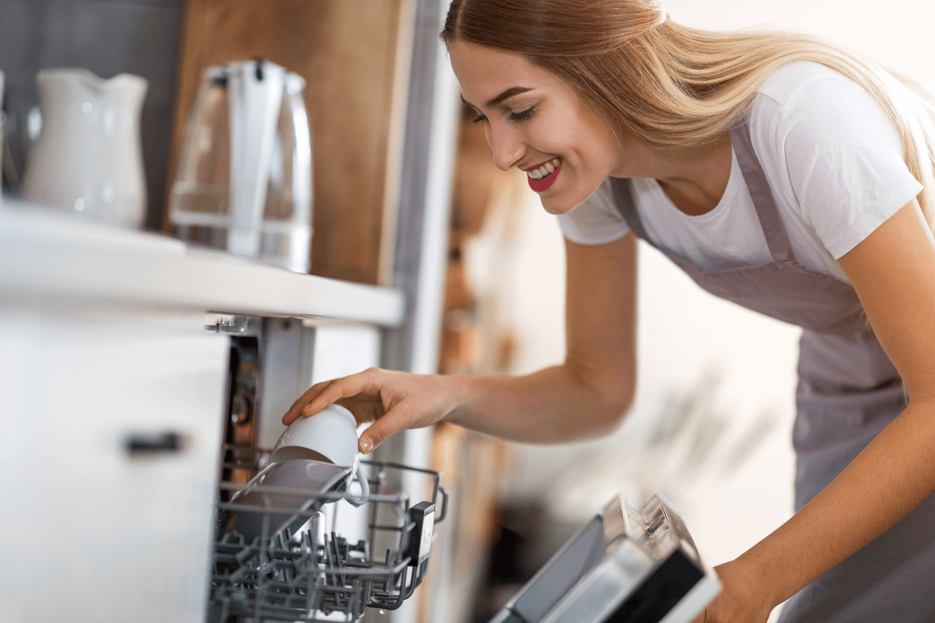 dishwasher repair perth